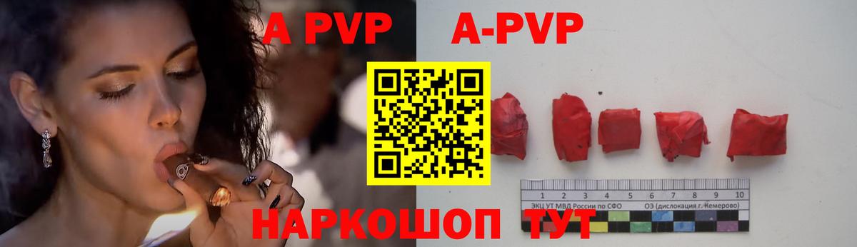 A PVP СК КРИС Тавда